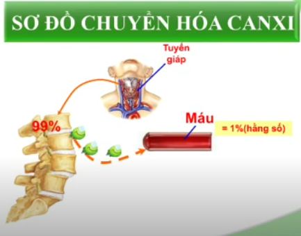 Thiếu canxi kéo dài có thể mắc 147 bệnh khác nhau